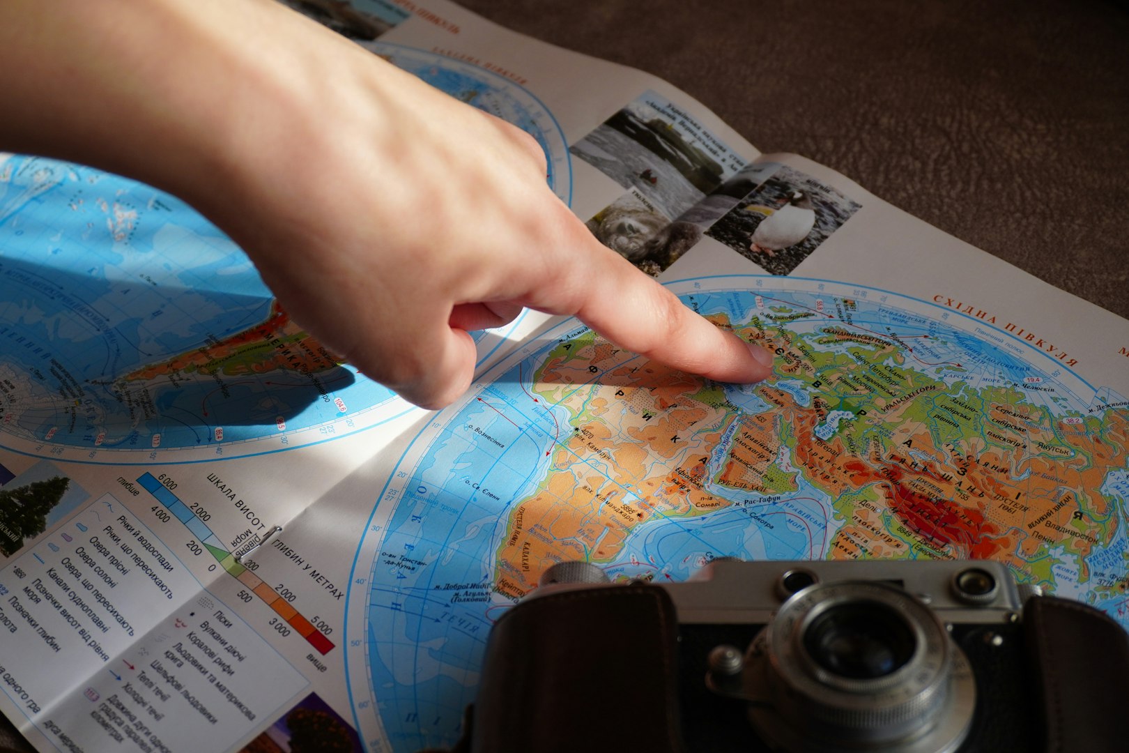 person pointing at map