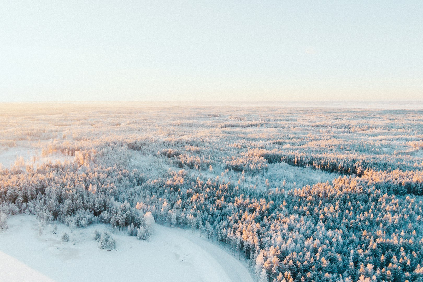 This image captures a serene, snow-covered forest landscape in the Arctic wilderness, in Lapland, Finland