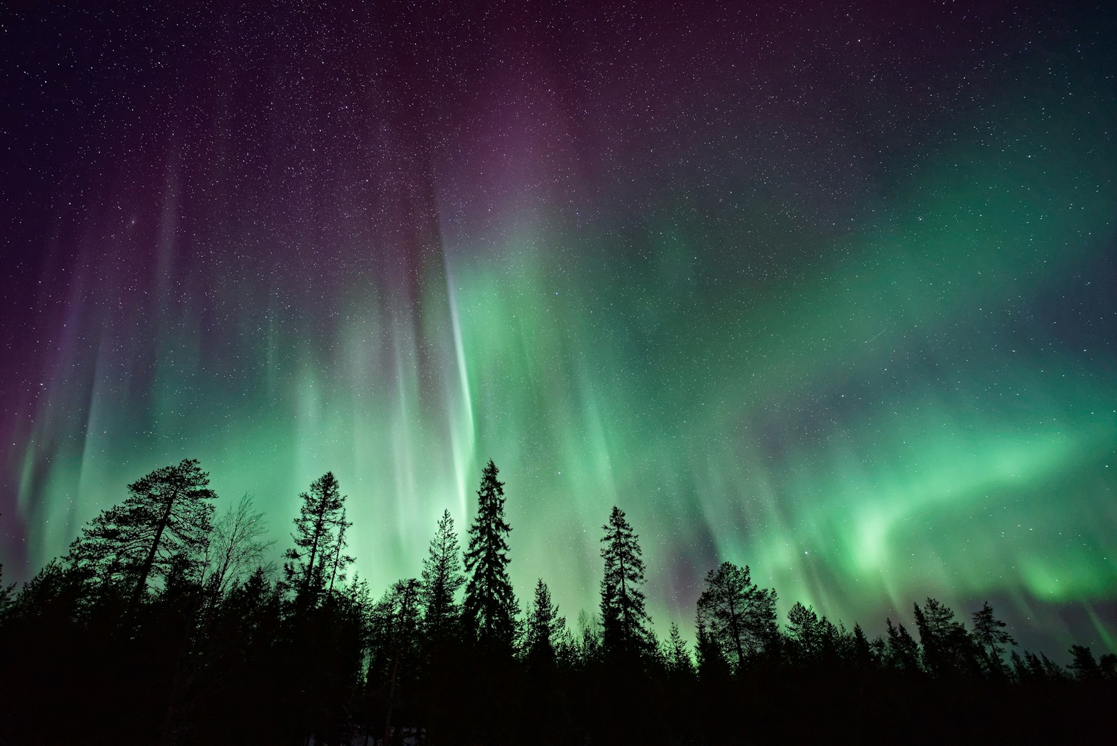 view of the northern lights