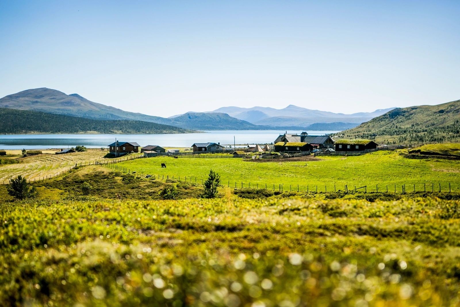 long view of farming village at foot of fjord