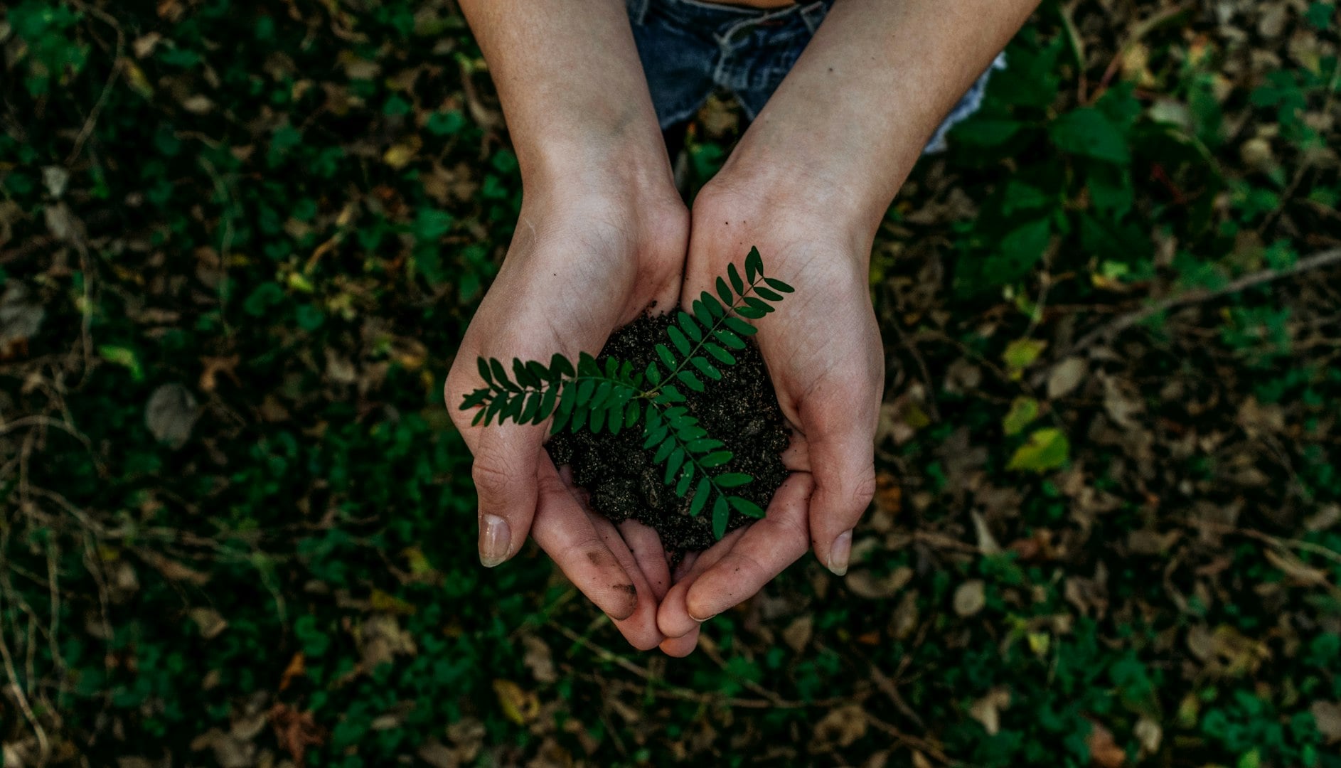 Sustainable soil